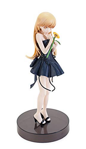 Nishio Isin Daiji Exhibition EXQ Figure Shinobu Oshino Prize