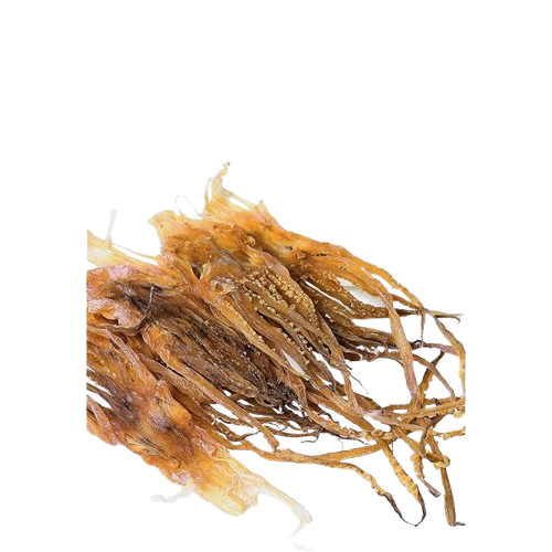 1kg of additive -free Hokkaido Tenshi sun dried squid domestically produced