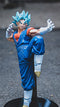 Banpresto Dragon Ball Super Son Goku FES!! Part 14 Super Saiyan God Super Saiyan Vegetto