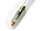 Sailor Fountain Pen Professional Gear Slim Transparent Medium (M) 11-9096-400