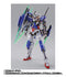 METAL BUILD Gundam 00 FESTIVAL 10 "Re: Vision" Gundam Exria Pair IV (Soul Web Shoten Limited)