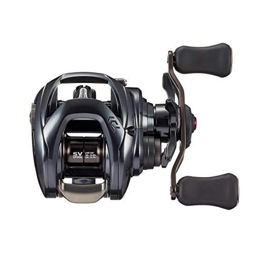 Daiwa (DAIWA) bait reel 20 TATULA SV TW 103SH (2020 model)