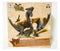 Monster Hunter DXF Statue Model Monsters 5 Single Item Tigrex