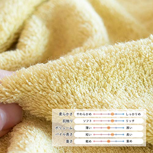 Bloom Imabari Towel Leon Bath towel 2 sets Sanho Kin Cotton (White) Leon_bt2_wh