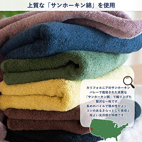 Bloom Imabari Towel Leon Bath towel 2 sets Sanho Kin Cotton (White) Leon_bt2_wh