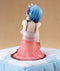 Re: Life in a Different World from Zero Rem Birthday Lingerie Ver. 1/7 scale PVC painted finished figure