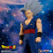 Dragon Ball Super Super Hero DXF Son Gohan Beast