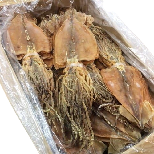 1kg of additive -free Hokkaido Tenshi sun dried squid domestically produced