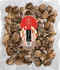 Shiitake mushroom donko from Kyushu 300g